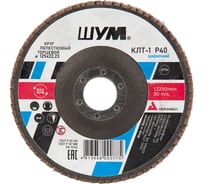Круг зачистной лепестковый торцевой ШУМ КЛТ-1, диаметр 125мм, циркониевый электрокорунд марки Z, зернистость Р40 (30 шт) 112522240