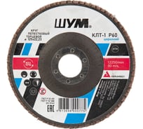 Круг зачистной лепестковый торцевой ШУМ КЛТ-1, диаметр 125мм, циркониевый электрокорунд марки Z, зернистость Р60 (30 шт) 112522260