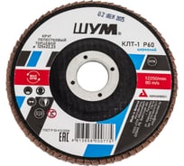 Круг зачистной лепестковый торцевой ШУМ КЛТ-1, диаметр 125мм, циркониевый электрокорунд марки Z, зернистость Р60 (30 шт) 112522260