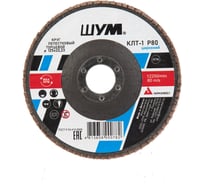 Круг зачистной лепестковый торцевой ШУМ КЛТ-1, диаметр 125мм, циркониевый электрокорунд марки Z, зернистость Р80 (30 шт) 112522280