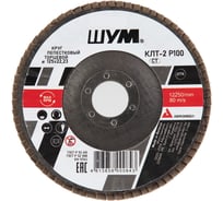 Круг зачистной лепестковый торцевой ШУМ КЛТ-2, диаметр 125мм, электрокорунд марки А, зернистость Р100 (30 шт) 212522110
