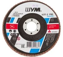 Круг зачистной лепестковый торцевой ШУМ КЛТ-2, диаметр 125мм, циркониевый электрокорунд марки Z, зернистость Р80 (30 шт) 212522280