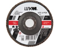 Круг зачистной лепестковый торцевой ШУМ КЛТ-2, диаметр 125мм, электрокорунд марки А, зернистость Р120 (30 шт) 212522112