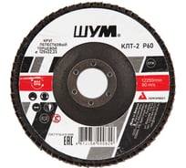 Круг зачистной лепестковый торцевой ШУМ КЛТ-2, диаметр 125мм, электрокорунд марки А, зернистость Р60 (30 шт) 212522160