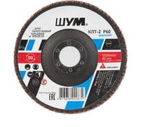 Круг зачистной лепестковый торцевой ШУМ КЛТ-2, диаметр 125мм, циркониевый электрокорунд марки Z, зернистость Р60 (30 шт) 212522260