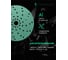 Круги шлифовальные CERAMAX 150 мм GREEN FILM multiholes, P320, 50 шт. 1CRX1366 3
