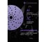 Круг шлифовальный CERAMAX 150 мм PURPLE FILM multiholes, P500, 50 шт. 1CRX1386 3