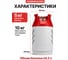 Баллон полимерно-композитный газовый Aceccse 24,5 л (LPG/СУГ) Composite ACE24.5RW 7