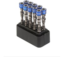 Набор бит двусторонних с магнитом SKOLE (BT10) PH2-65 (10шт/уп. син-хром) BT10-265