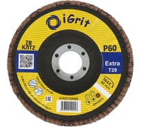 Лепестковый круг iGrit Extra КЛТ2 125x22,23мм Р60 ZR упаковка 10 шт 1028125060