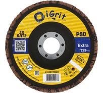 Лепестковый круг iGrit Extra КЛТ2 125x22,23мм Р80 ZR упаковка 10 шт 1028125080
