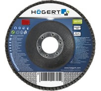 Круг шлифовальный лепестковый (125x22.4 мм; G40) HOEGERT TECHNIK HT8D051