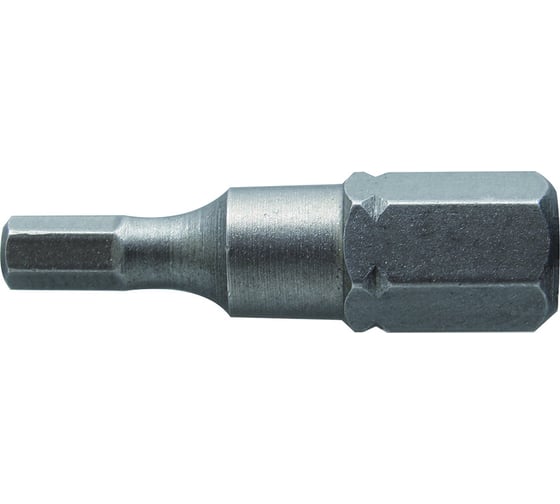 Биты (2 шт; HEX 3; 25 мм) HOEGERT TECHNIK HT1S343