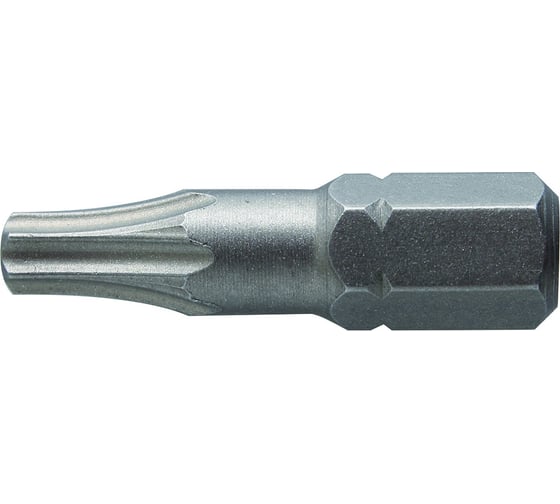 Биты (2 шт; TORX 25; 25 мм; сталь S2) HOEGERT TECHNIK HT1S364 1