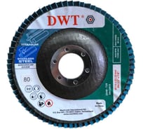 Круги лепестковые DWT 115x22.2mm_80_ZA сталь,титан DTFWP0024