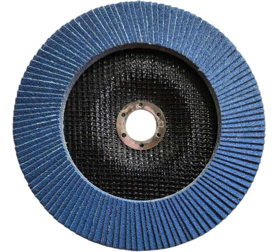 Круги лепестковые DWT 125x22.2мм, 120, ZA сталь, титан DTFWP0030