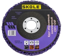 Коралловый диск SKOLE (CD1) 125мм, 22.23 (фиолетовый) 5шт CD1-125F