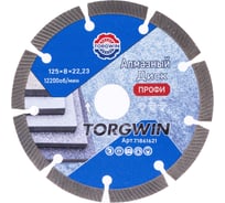 Диск алмазный отрезной TORGWIN сегментный по железобетону и камню 125x22.2/10x2.2 мм Сold Press PRO T1861621