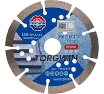 Диск алмазный TORGWIN отрезной сегментный по железобетону и камню 125x22.2/10x2.0мм. Сold press Professional T1962592