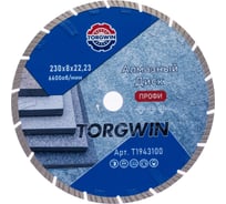 Диск алмазный отрезной TORGWIN сегмент турбо глубокорез по стройматериалам 230x22.2/8x3.0 мм Сold press Professional T1943100
