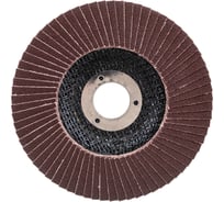 Круг лепестковый торцевой КЛТ ООО ПКФ Сварком 125x22 мм Р40 (1 шт) cр12809