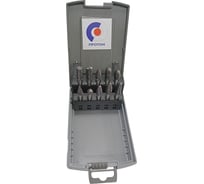 Набор бор-фрез PROTON из 10 шт, D10 УТ-00002270