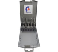 Набор бор-фрез PROTON из 10 шт, D8 УТ-00000240