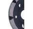 Чашка алмазная однорядная для шлифования бетона и камня TORGWIN TW 100x22.2/8x5мм T1728414 3