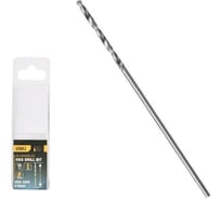 Сверло по металлу Deli 1мм, 10 шт DH-MHZ010-E3 сталь HSS 4341, угол заточки 118 град, пласт. кейс 196849