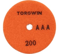 Диск алмазный гибкий на липучке TORGWIN 100мм (черепашка) универсал 200LUX(10шт) T1162503