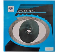 Отрезной пильный диск по металлу RUIJIALI HSS DMo5 M2 TiAlN 300x2.5x32 240 BW 11416