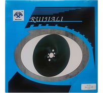 Отрезной пильный диск по металлу RUIJIALI HSS DMo5 M2 VAPO 300x2.5x40 240 BW 11412