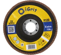 Лепестковый круг iGrit Extra КЛТ2 125x22.23мм Р100 ZR упаковка 10 шт 0 1028125100