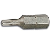 Вставка (бита) торцевая 5/16" HONITON, TORX Т60 BT-A8T60 В0000000199956