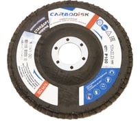 Круг лепестковый торцевой (125х22.23 мм; P100; корунд) CARBODISK Н0172125 00-00016454