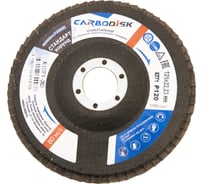 Круг лепестковый торцевой (125х22.23 мм; P120; корунд) CARBODISK Н0172135 00-00016555