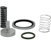 Набор клапана минимального давления ЭнергоРесурс 2901139900 5105006