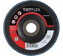Диск шлифовальный TOTFLEX КЛТ AGGRESSOR 1 125x22 Z P60 3шт 4631178314932