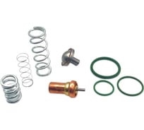 Набор термостата и клапана минимального давления ЭнергоРесурс 2901109500 5105002