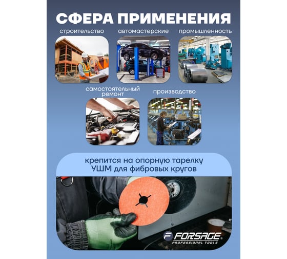 Круг абразивный шлифовальный (150 мм; 100) Forsage 49513 F-BD6100D
