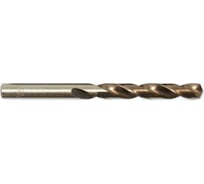 Сверло по металлу в пластиковом футляре (10 шт; 2.4 мм; HSS-Co) Forsage F-DSP332 19817