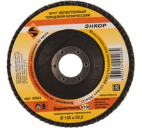 Круг лепестковый конический (125х22.2 мм; К100) для углошлифовальных машин Энкор 20523