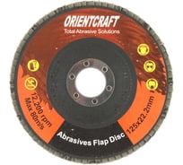 Диск лепестковый торцевой по металлу (10 шт; 125x22.2 мм; Р120) Orientcraft OCF12522120