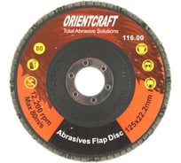 Диск лепестковый торцевой по металлу (10 шт; 125x22.2 мм; P80) Orientcraft OCF1252280