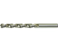 Сверло по металлу Fortis HSS DIN338 шлифованное 4.5x47x80 1072 0450