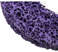 Круг коралловый FATUM Фиолетовый 125х22мм 4673751399158