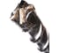 Бур SHYLD SDS max-X 28x1320мм(41120) 00006751851 4