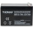 Аккумуляторная батарея THOMAS GB 12-7Ah, Вьетнам GB12-7(Thomas) 2