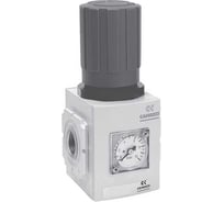 Регулятор давления с манометром СваркаДжет NXE3-1/2-R004 4100050000509