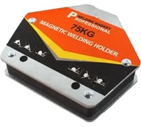 Магнитная трапеция энаргит PROFESSIONAL до 75 кг (45, 90, 135,180) CH2-5